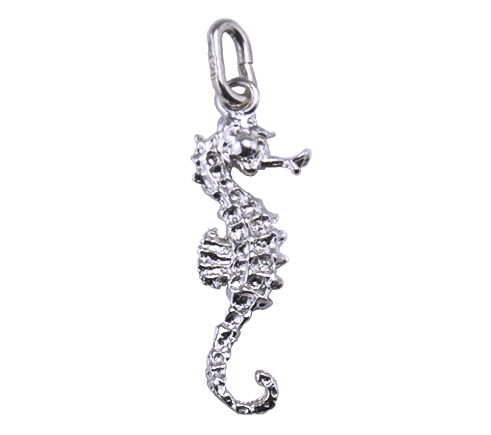 Hippocampus